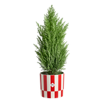 xmas blocks & stripes 15cm christmas red
